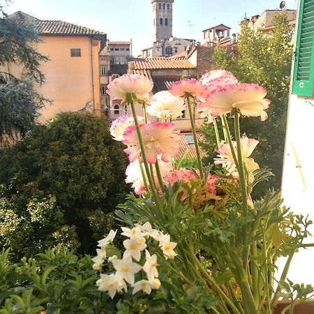 Bed And Breakfast Evelina Lucca Bagian luar foto