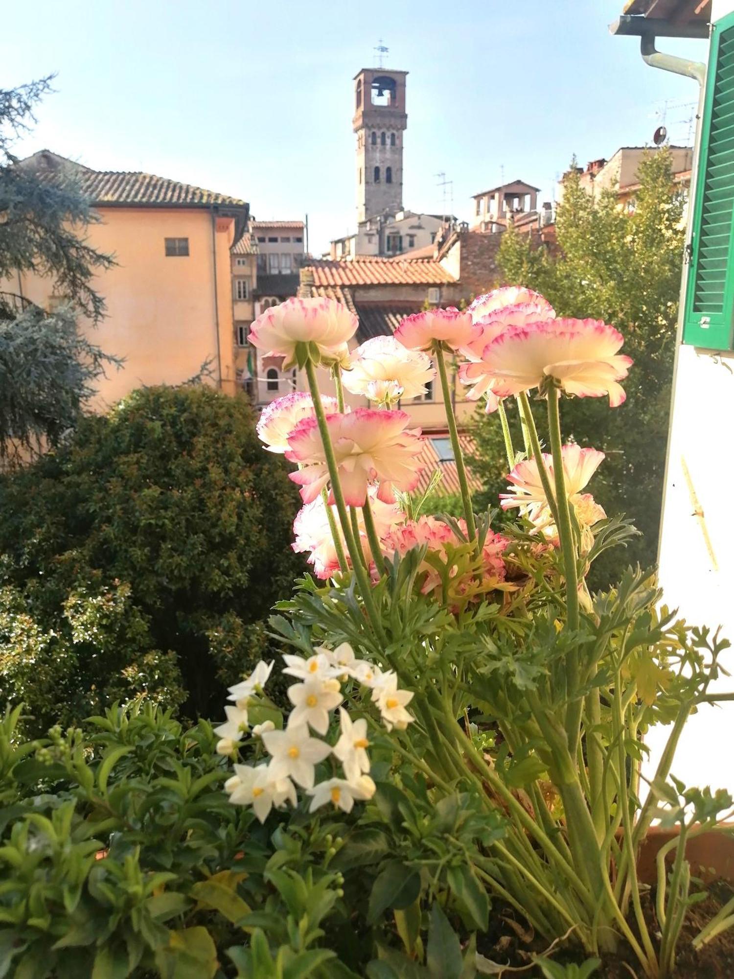Bed And Breakfast Evelina Lucca Bagian luar foto